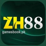 ZH88 game